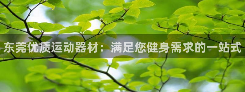 意昂3集团官网首页网址：东莞优质运动器材：满足您健身