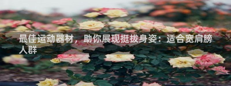 意昂3集团官网首页网址:最佳运动器材,助你展现挺拔身姿:适合