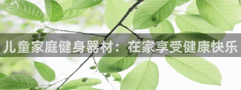 德国意昂3集团:儿童家庭健身器材:在家享受健康快乐