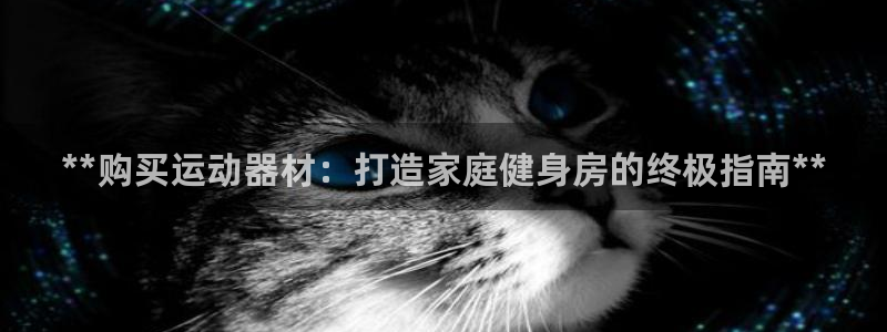 意昂体育3平台APP:**购买运动器材:打造家庭健身房的终极